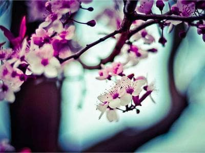 Anthropic 发布企业级 AI 安全框架，引发行业热议